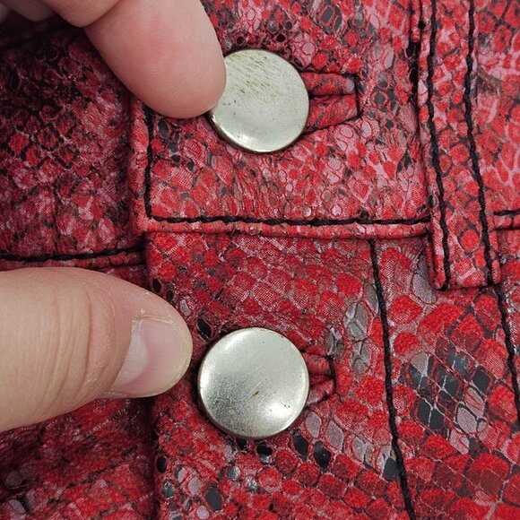 L’Academie The Serpent Leather Pants In Snake Red Women’s Size S High Rise Boho - Picture 12 of 12